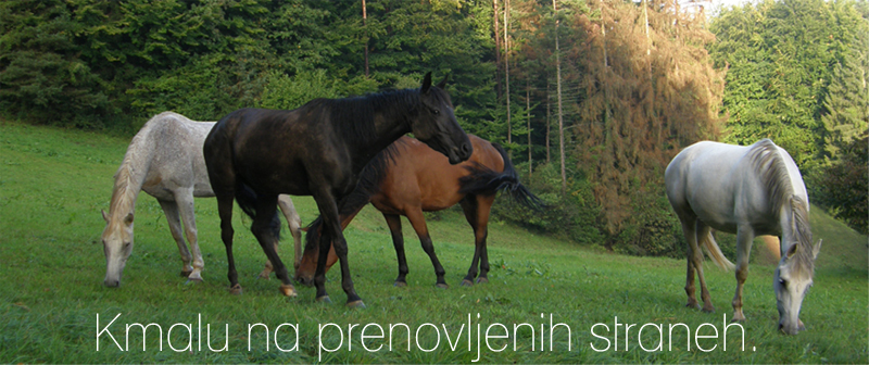 Konjeniški klub Andrejev Ranč